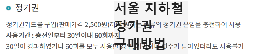 서울 지하철 정기권