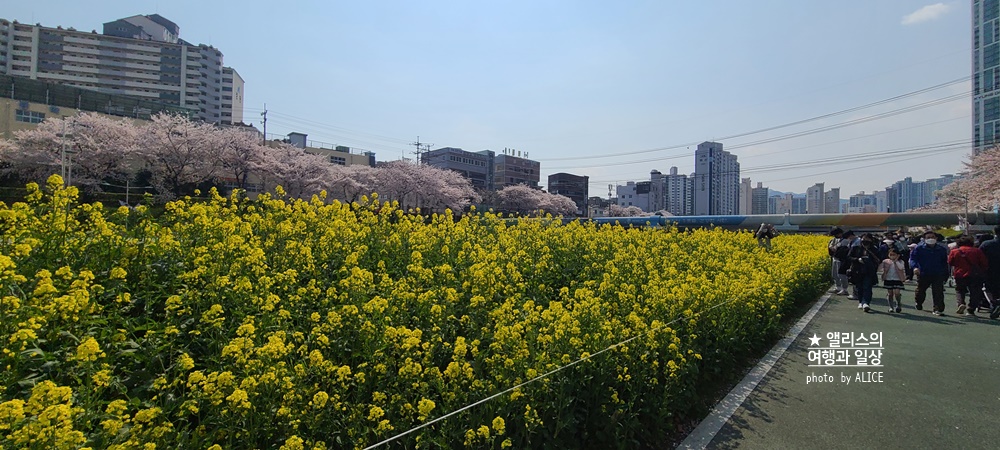 마스크벗고 봄과 여름 부산 야외 나들이 추천 BEST 10