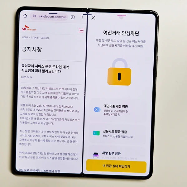 여신거래안심차단