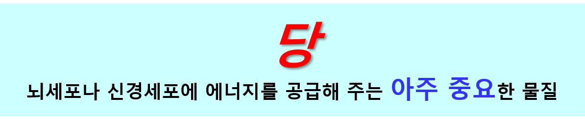 인슐린