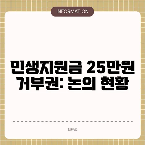 민생지원금 25만원 거부권: 논의 현황