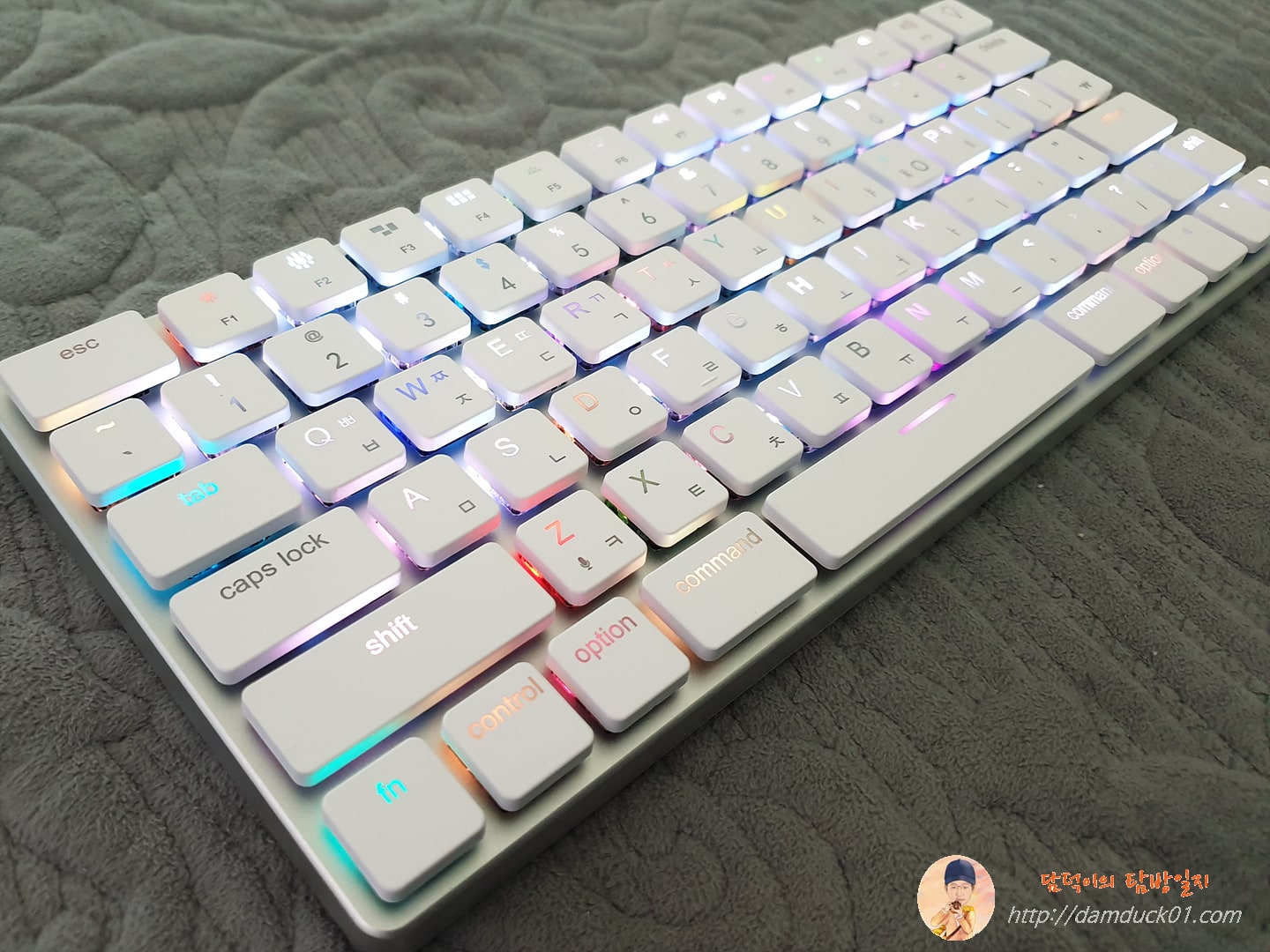 빈폭 탭텍의 19가지 RGB