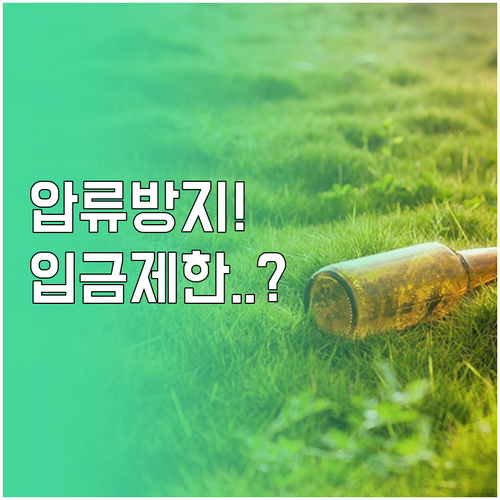 압류방지계좌 행복지킴이통장 활용법 및..