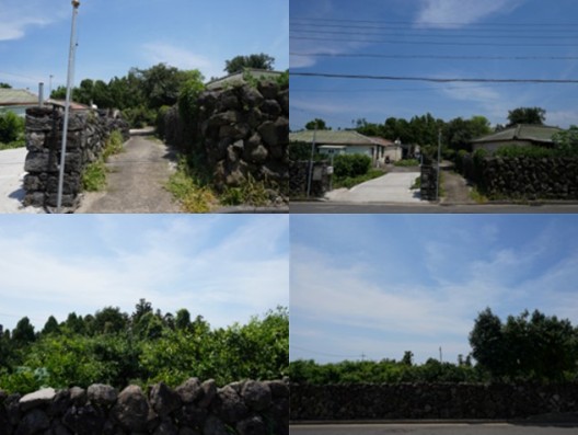 노약자 장애인을 위한 제주도 무장애여행 추천지 - 향기마을 용흥리