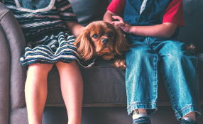 영유아기 반려동물과 함께 자라면 좋은 이유2