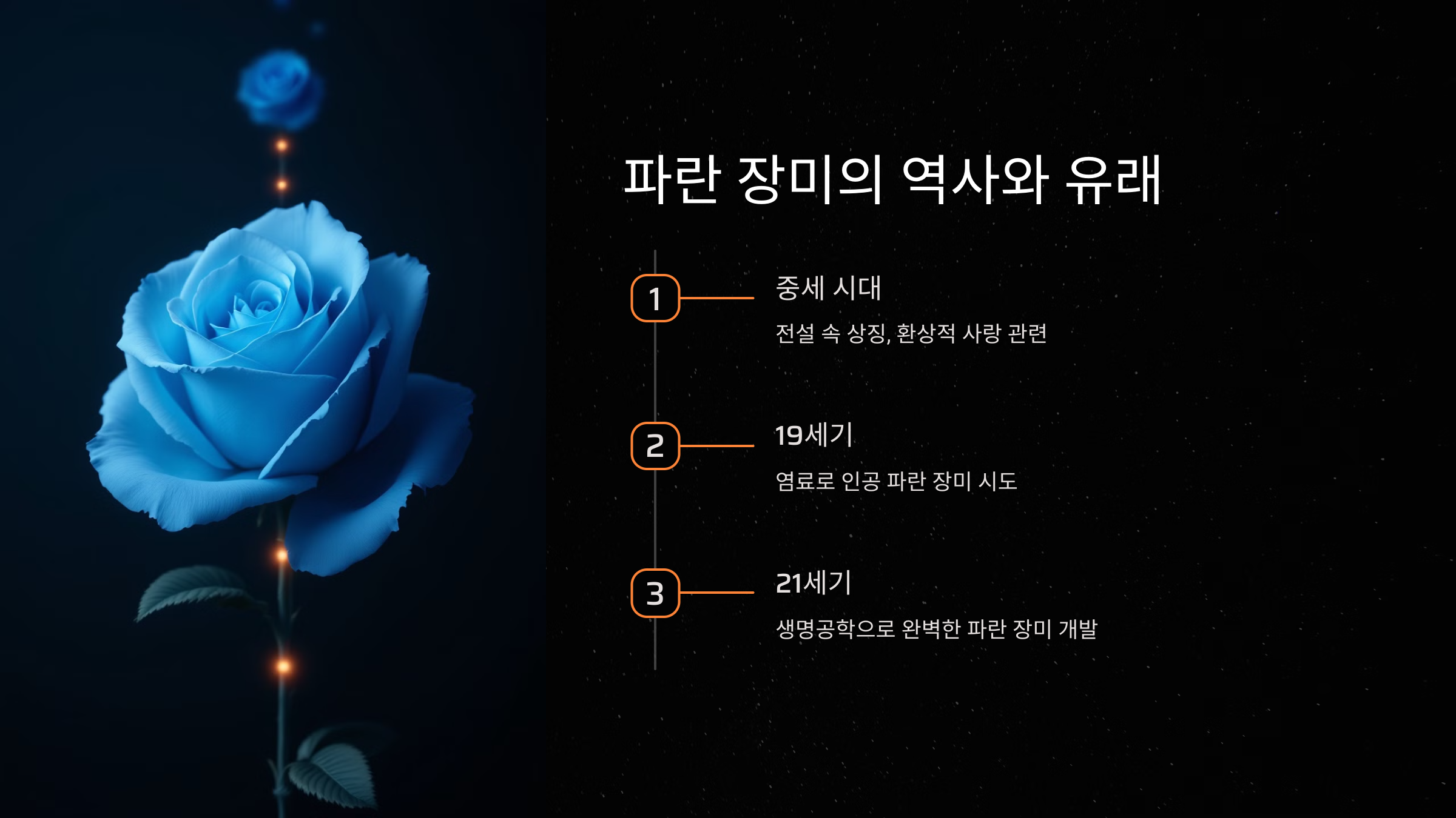 파란 장미의 역사와 유래