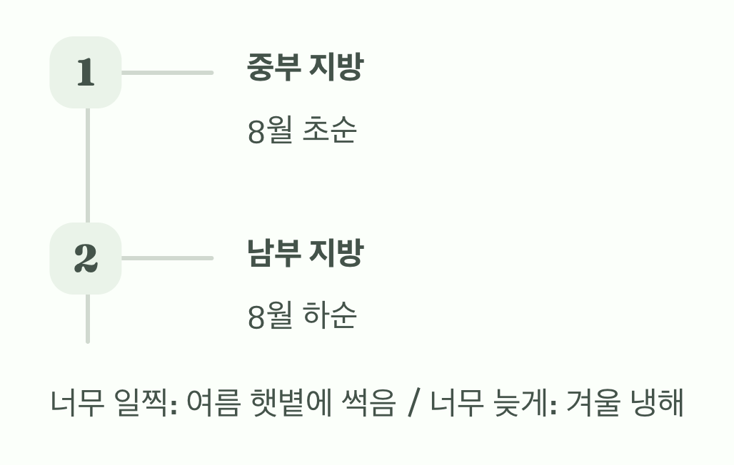 심는 시기, '타이밍'이 생명