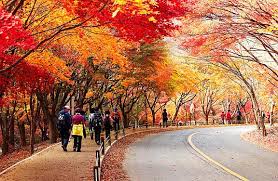 북한산 단풍 명소 베스트코스