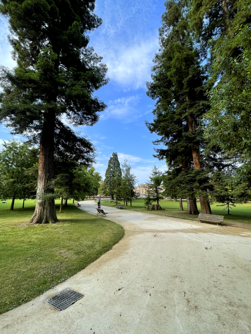 보르도 식물원(Jardin Public) 거대한 나무