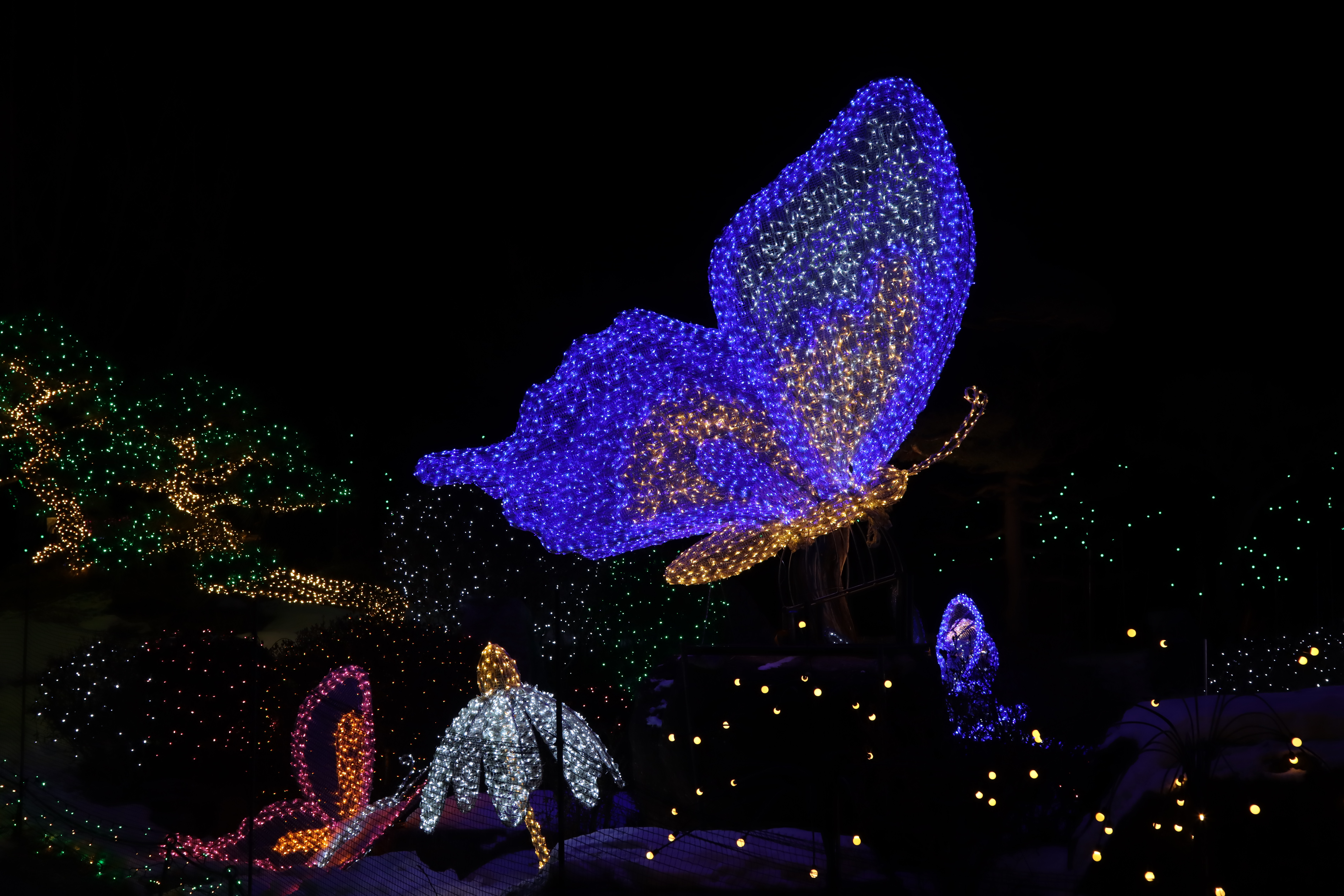 아침고요수목원