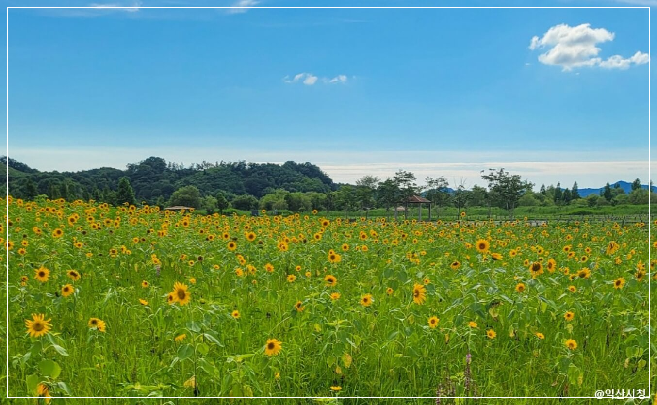 익산 가볼만한곳 베스트10 용안생태습지공원