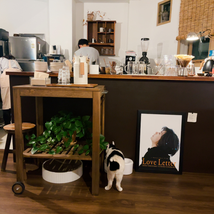 내부 카운터 및 얼룩냥이 뒷태