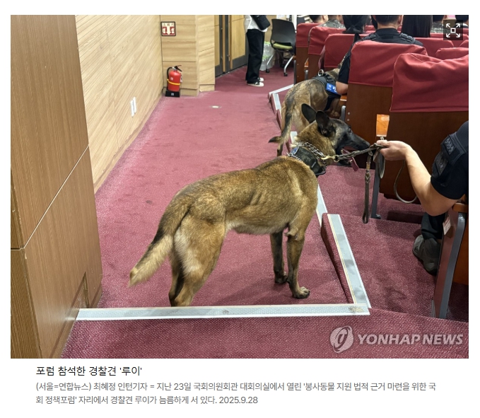 퇴역 구조견을 위한 ‘사회적 연대’가 필요합니다