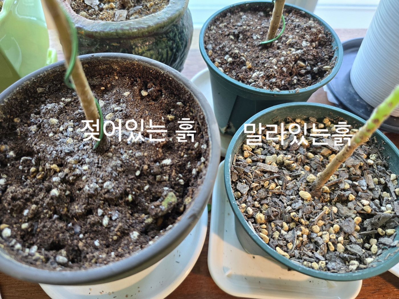 흙상태 확인하기