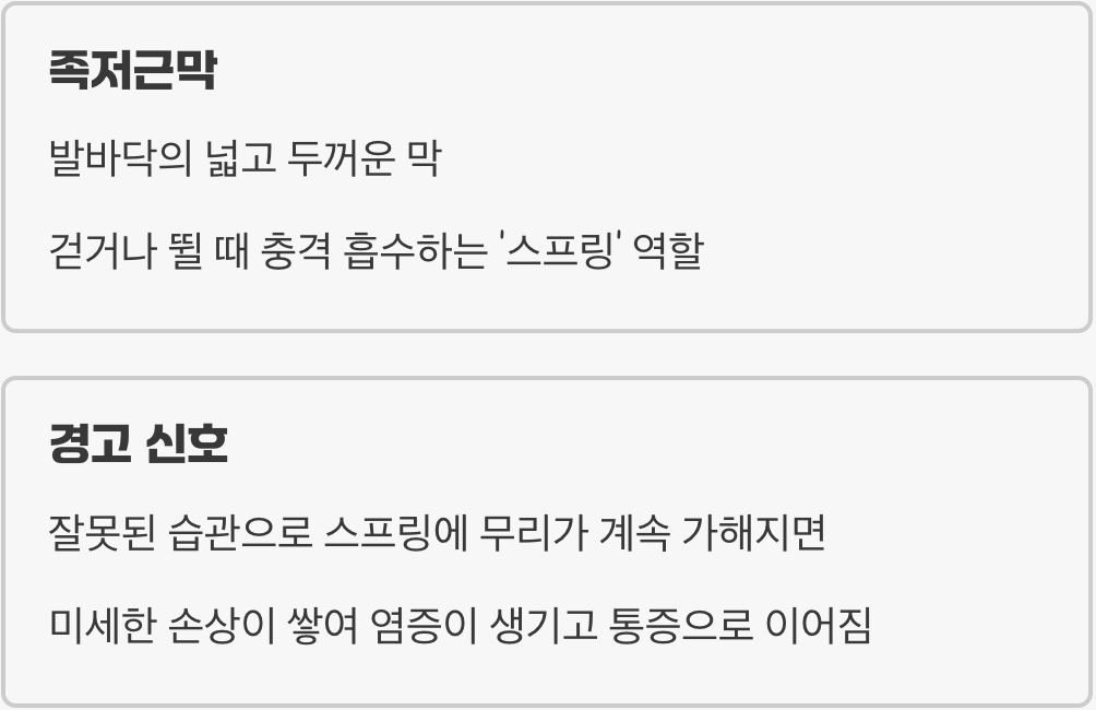 우리 몸의 주춧돌, 발바닥의 경고