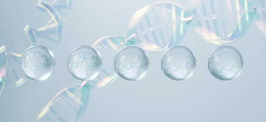 히알루론산/어도비스톡