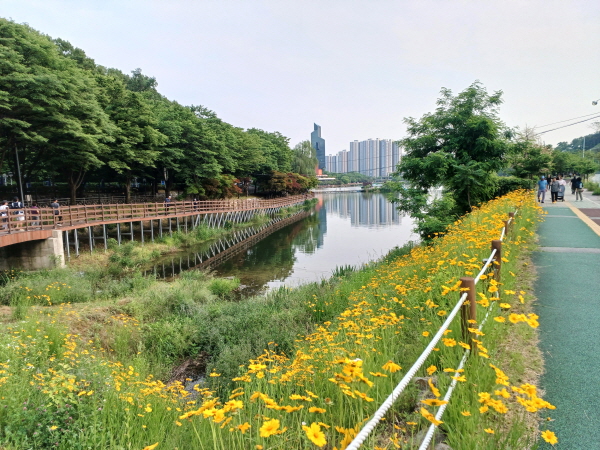 명암저수지 근처 아름다운 꽃길 사진