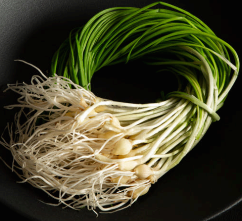 몸을 따뜻하게 해주는 달래의 효능