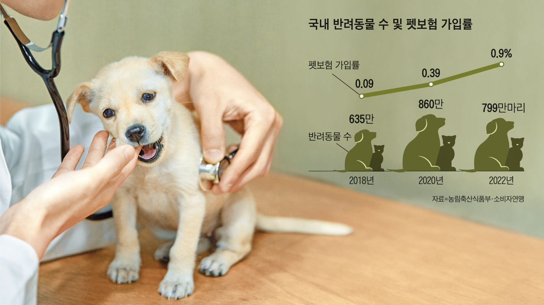 펫보험 비교 추천 총정리