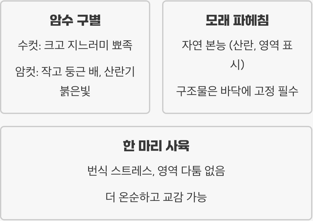 니그로 키우기 A to Z (어항, 먹이, 수질 관리)