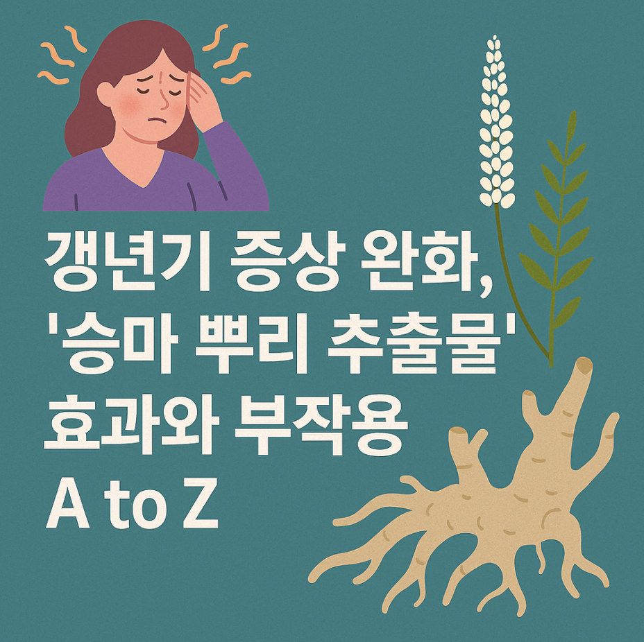 갱년기 증상 완화, '승마 뿌리 추출물' 효과와 부작용 A to Z