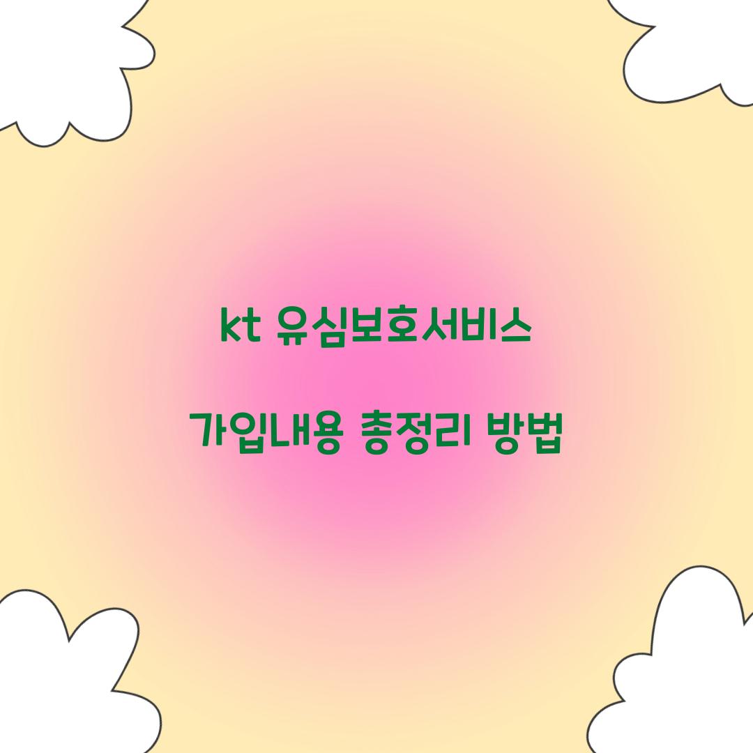 kt 유심보호서비스 가입내용