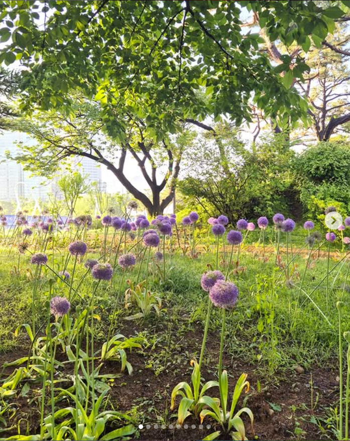 2025 서울국제정원박람회 히든 스팟&amp;#44; 해치하우스 