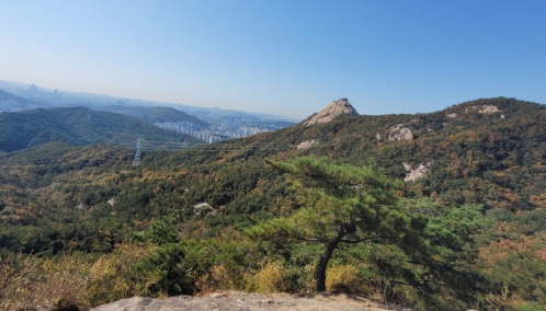 '피톤치드' 걷기좋은 휴양림 BEST 8곳