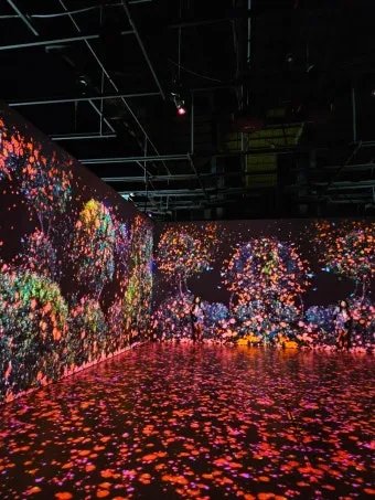 제주도 비올때 가볼만한곳 10곳 추천 실내 관광지로 모음_6