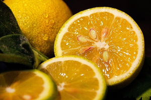 레몬청 만들기 (간단 쉬운 방법)
