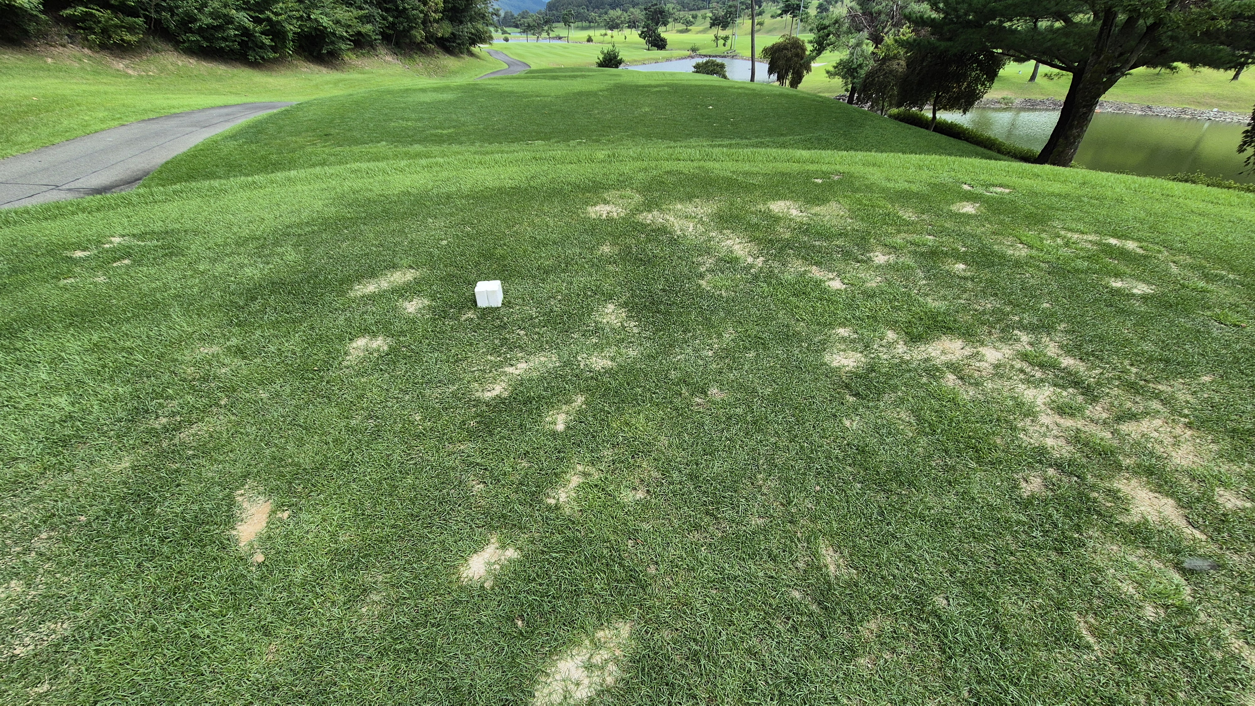 동원썬밸리cc 라운드 후기