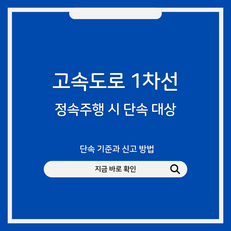 고속도로 1차선 단속 기준 안내 인포그래픽