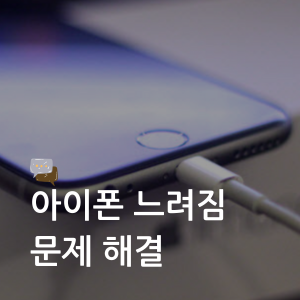 대표이미지 썸네일