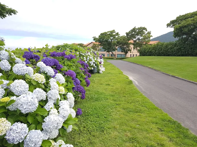 제주 아덴힐 리조트 골프클럽 소개 및 이용방법