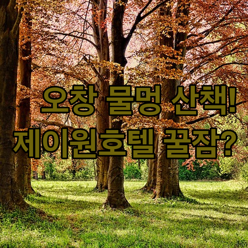 청주 오창 가볼만한곳 미래지농촌테마공..