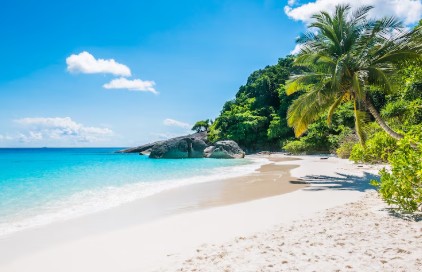 필리핀-보홀-3박-4일-가볼-만한-곳-추천-코스-6