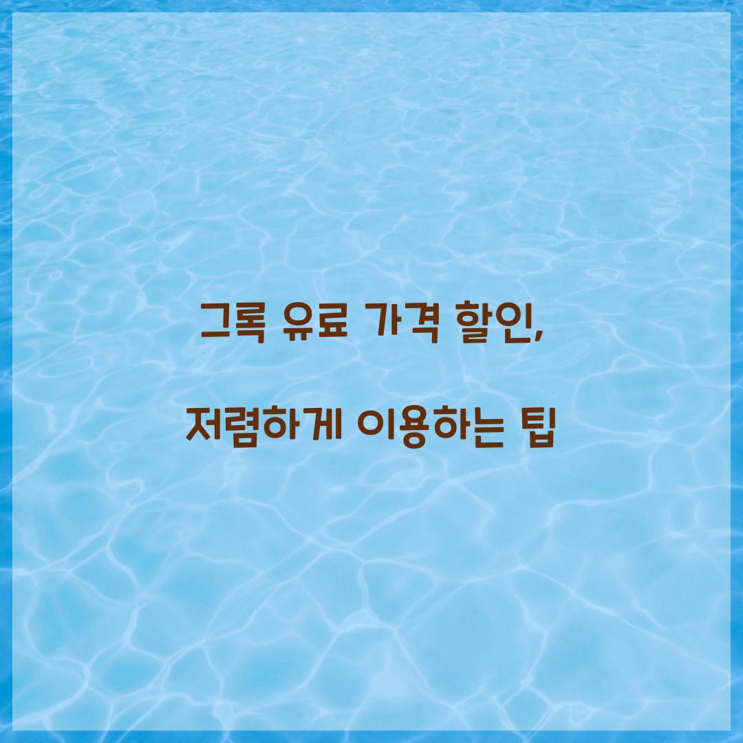 그록 유료 가격 할인