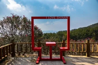 압해도 분재공원 근처 선착장에서의 낚시 농어와 도다리 포인트 소개 완벽 낚시터_20