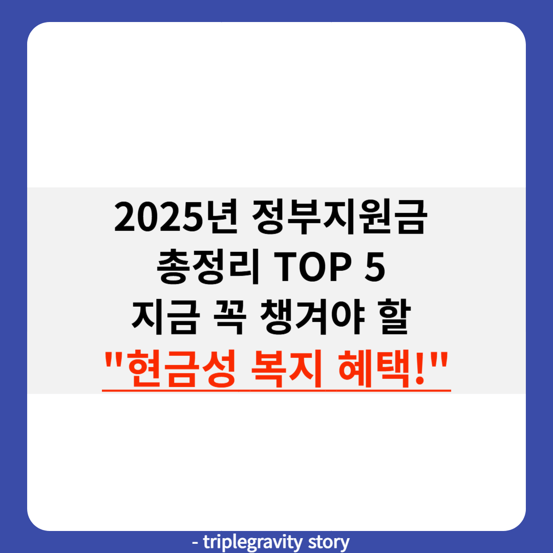 2025년 정부지원금 총정리 TOP 5 이미지