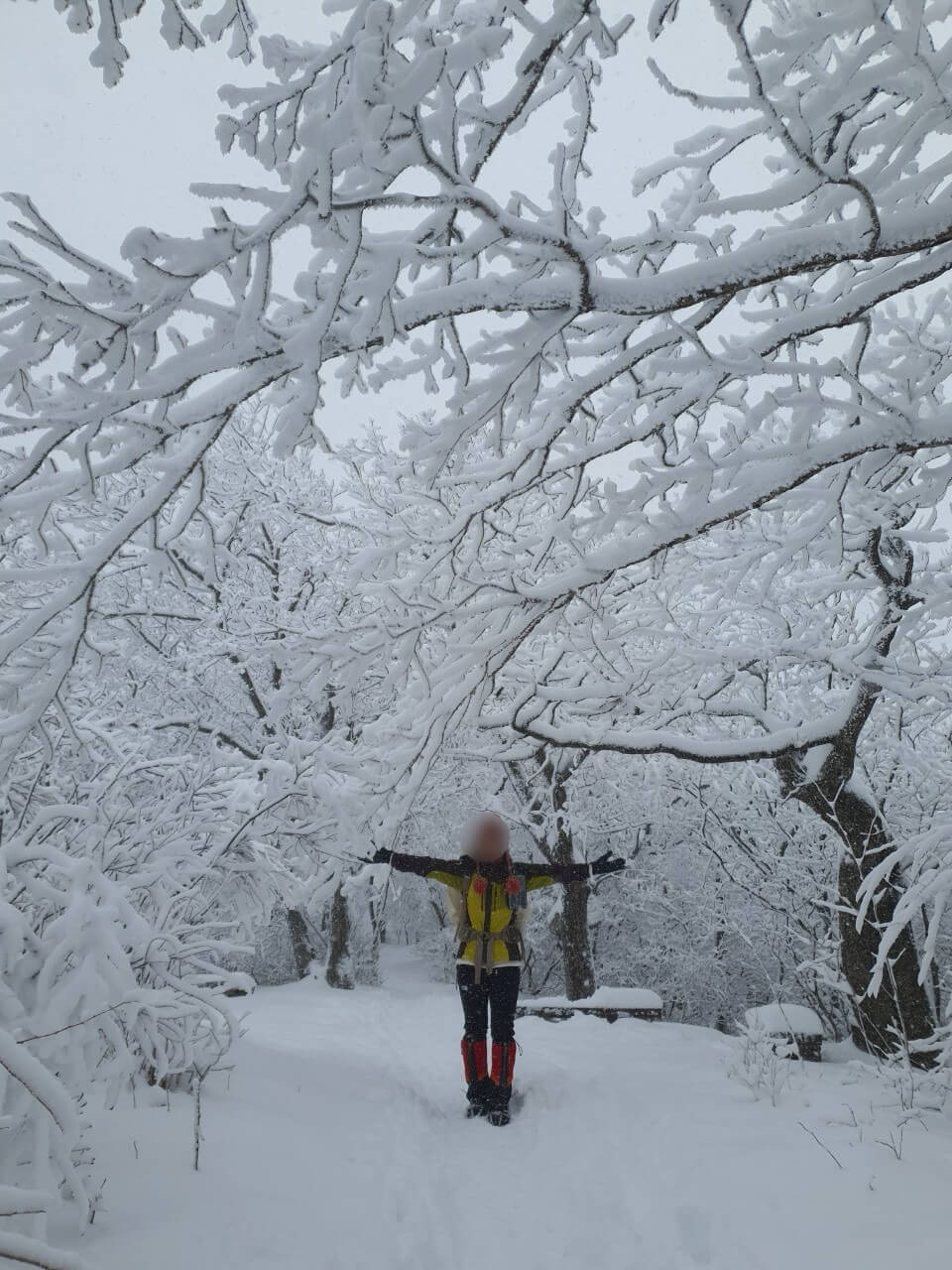 겨울 여행 눈꽃 산행지