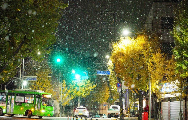 서울 첫눈, 2025 첫눈 예보, 첫눈 날짜, 겨울 날씨, 서울 눈 오는 날, 기상청 예보, 서울 첫눈 기록