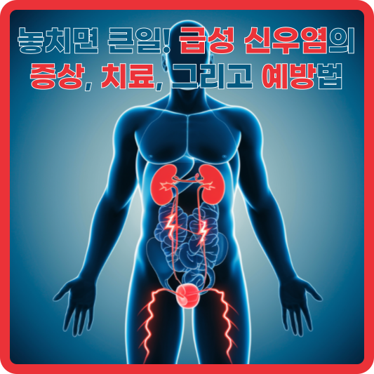 급성 신우염
