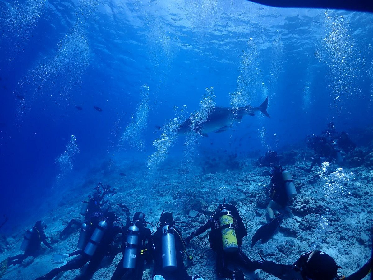 몰디브 피싱 투어 (Fishing Tour)