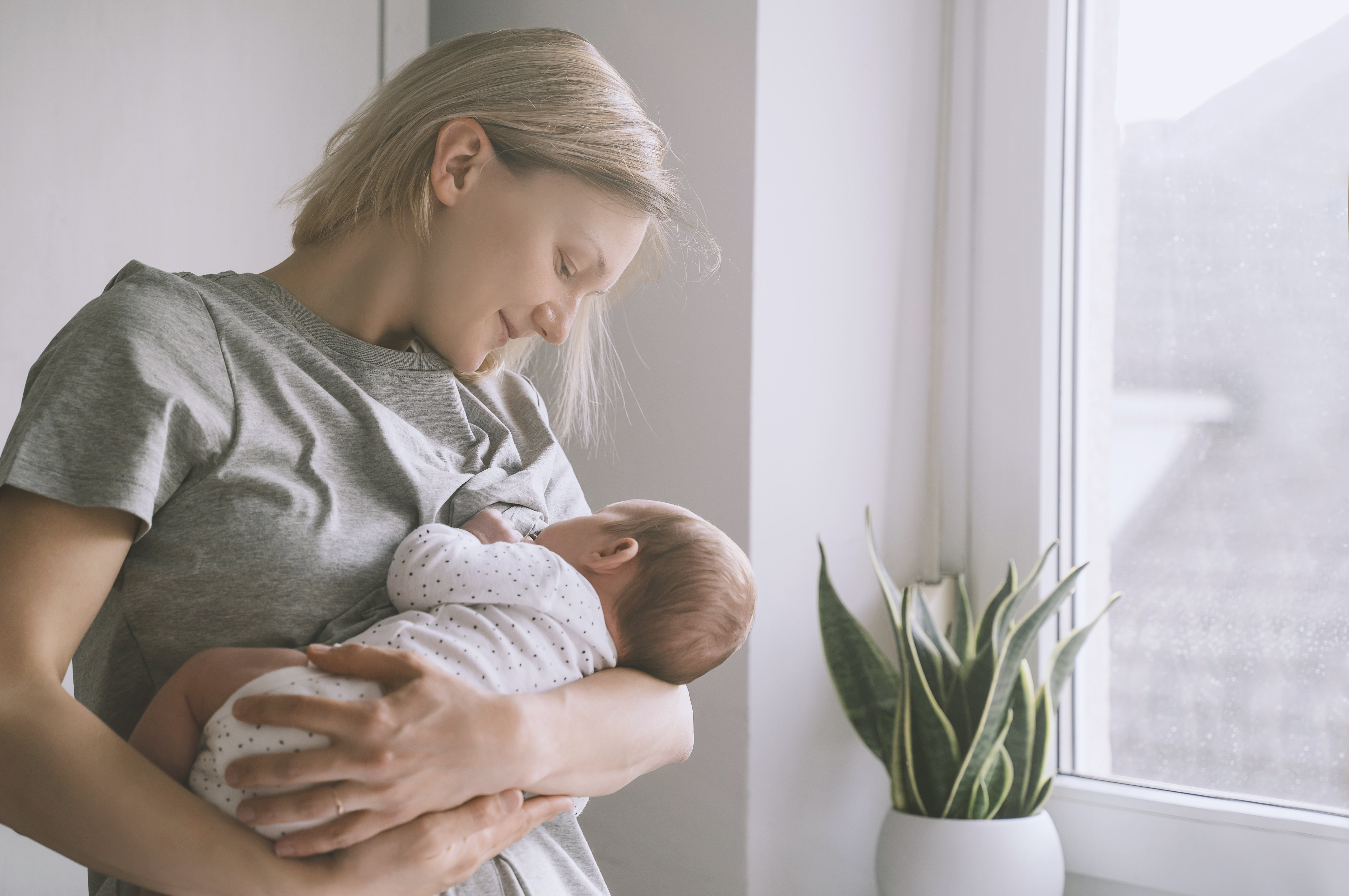 유방암 모유수유 가능 여부