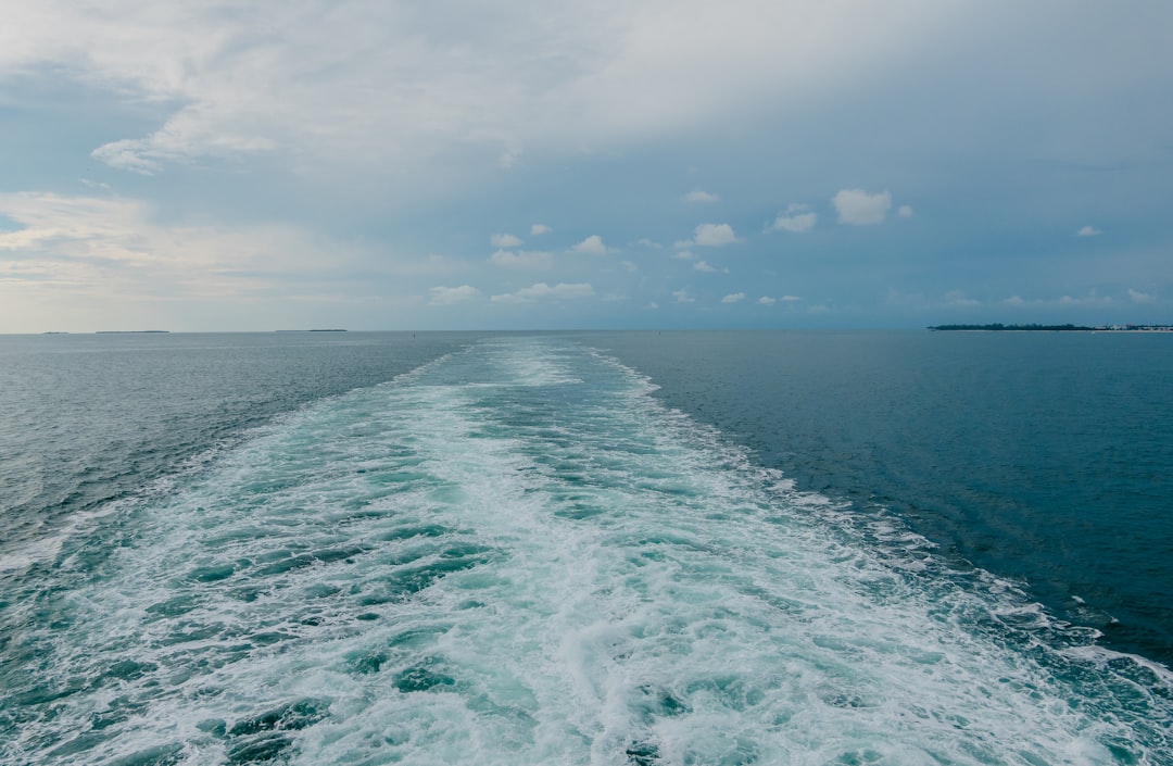 Cruise