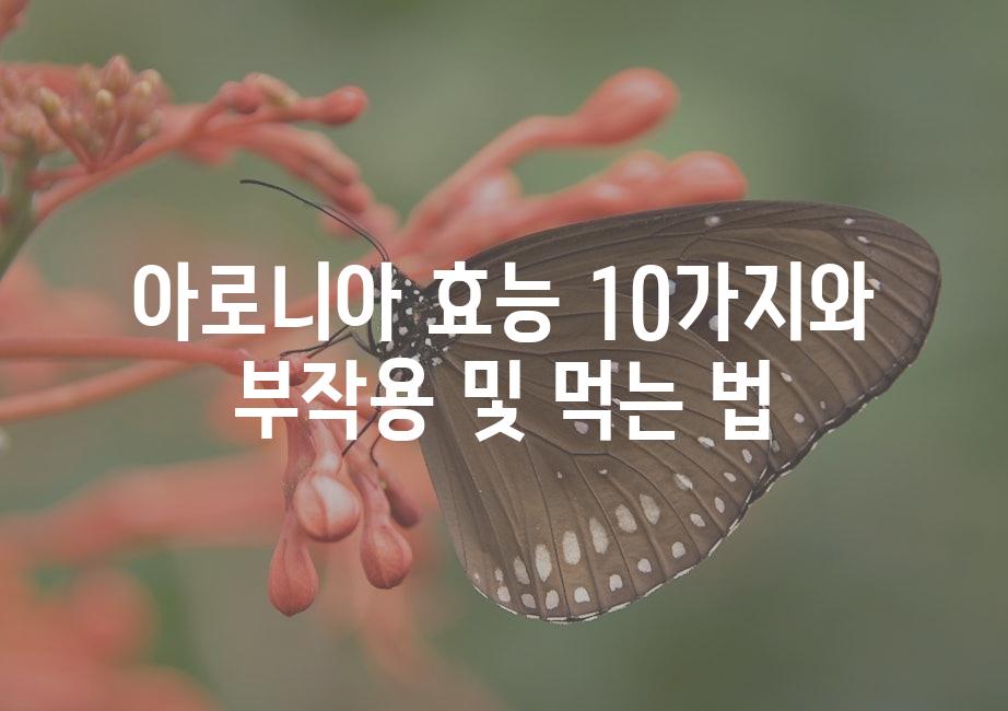 샘플 (51)