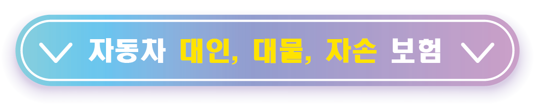 대인, 대물, 자손 보험