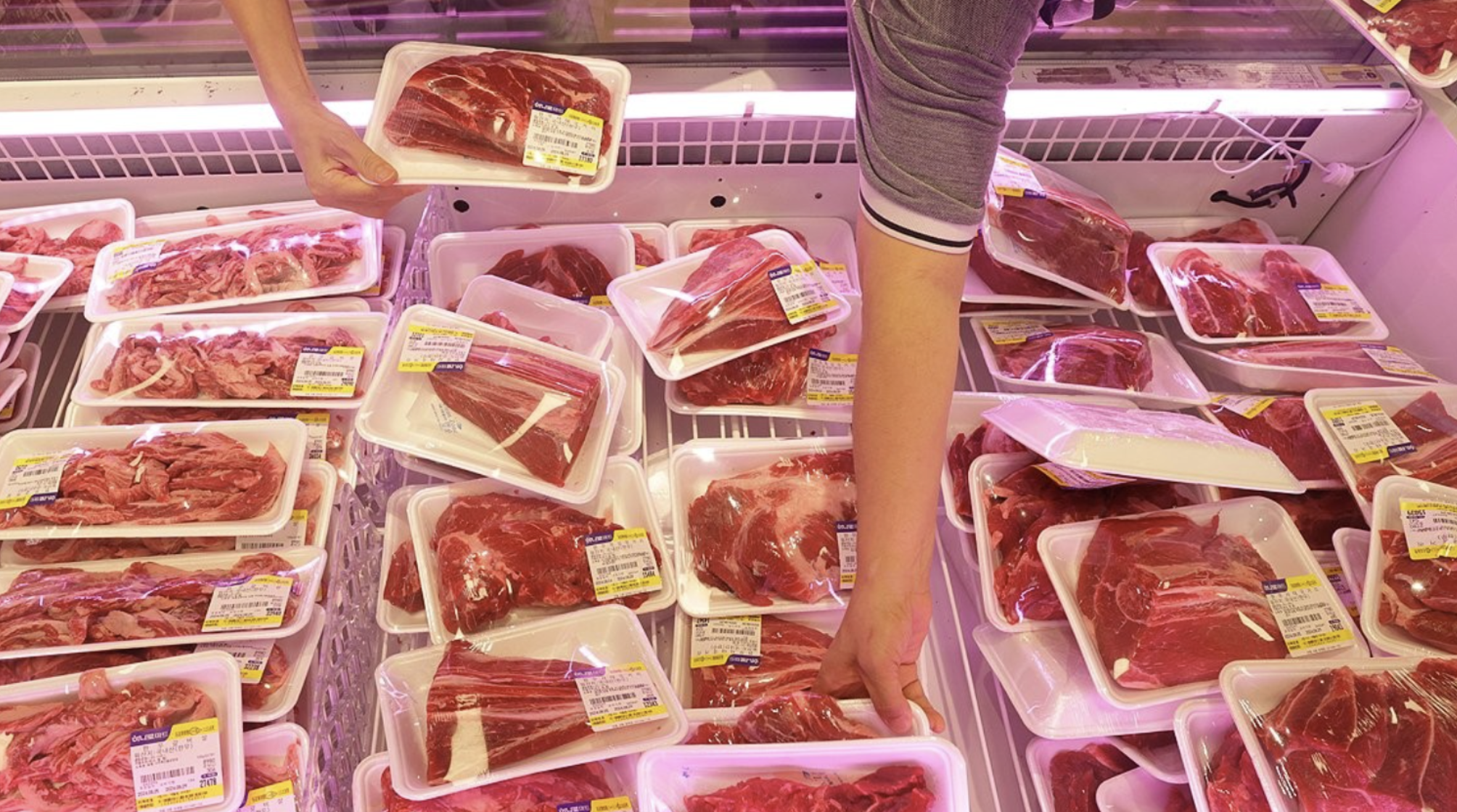 한우 할인 정책의 파격적 혜택