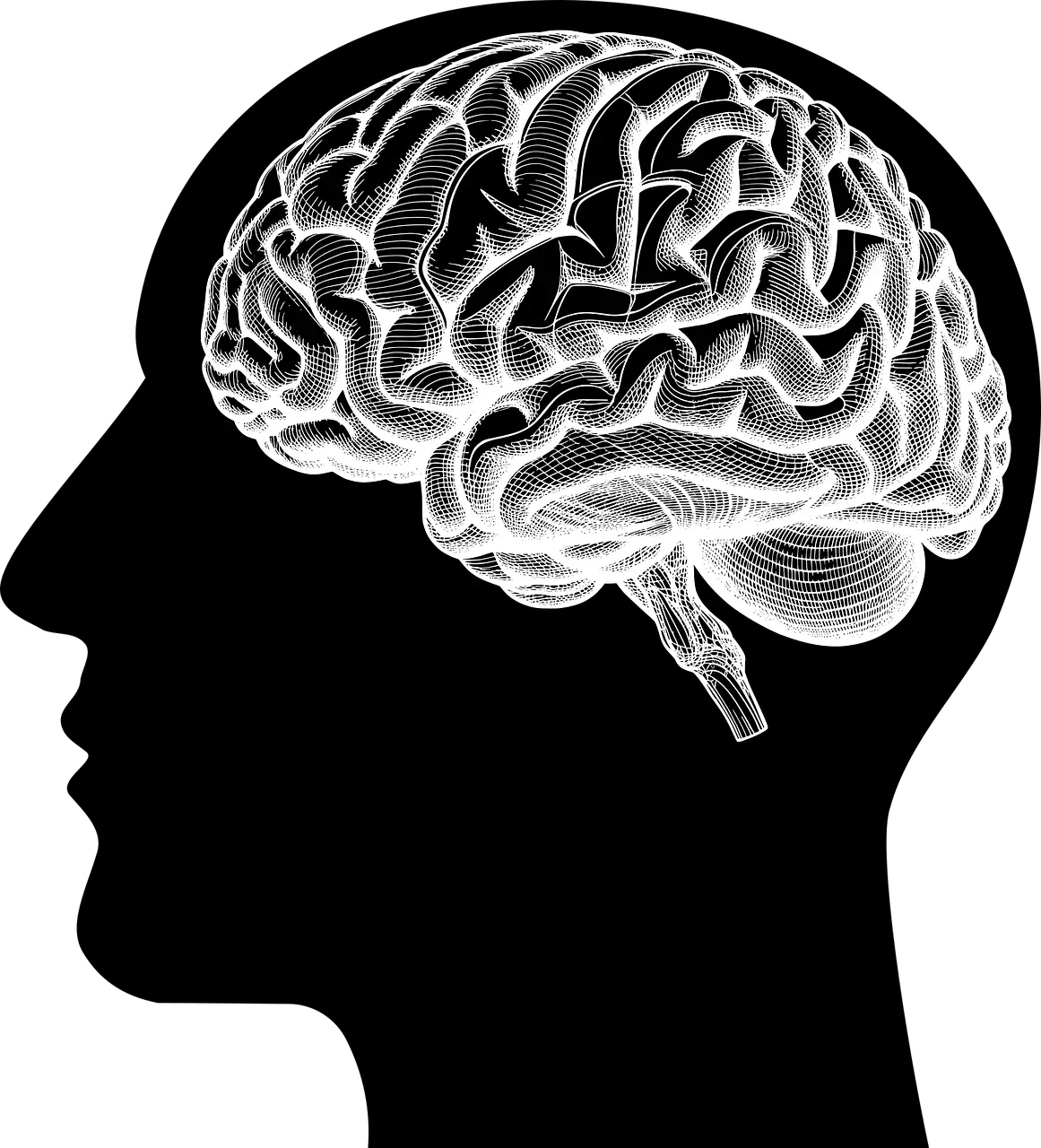 adhd 증후군 이란