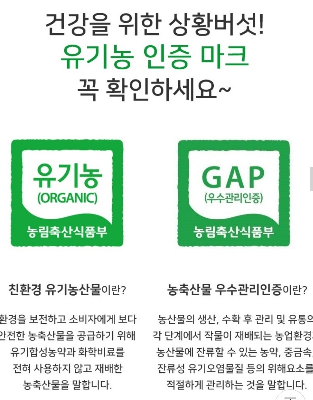 6시내고향-산청-유기농-상황버섯